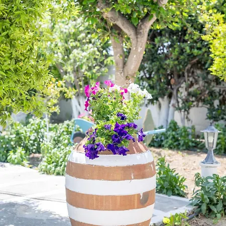 Perivoli 2-chora Vakantiehuis Agkidia