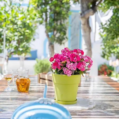 Vakantiehuis Perivoli 2-chora *