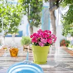 Semesterbostad Perivoli 2-chora *