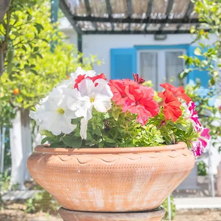 Perivoli 2-chora Hébergement de vacances