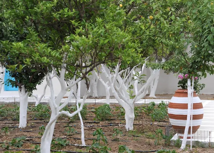Semesterbostad Perivoli 2-chora Agkidia