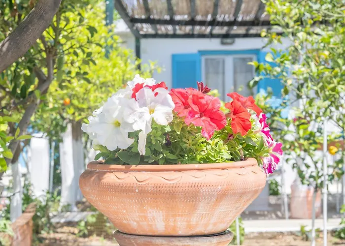 Perivoli 2-chora Semesterbostad